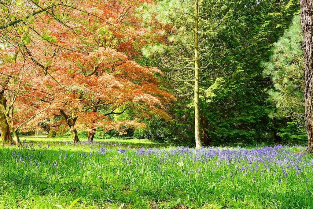 Cotswold Manor House - Country House Retreat With Hot Tub, Ideal For Large Groups Petty France Bagian luar foto